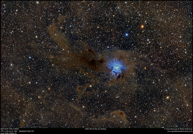 LBN 487 & The Iris Nebula