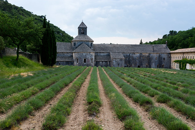 Abbaye Notre-Dame de Sénanque