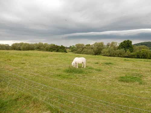 Horse, view, approaching storm New Otford Circular