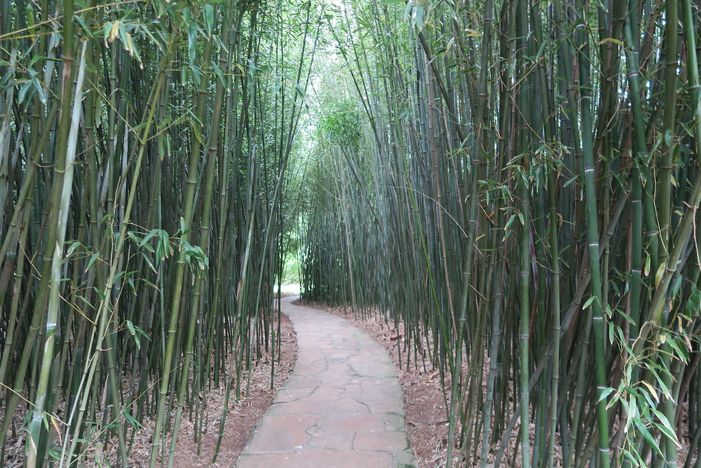 Chinese Scholar S Garden Staten Island Botanical Garden Flickr