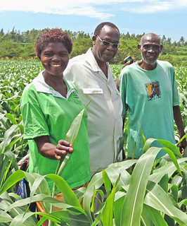 Alice Ajinja Beaming With Joy At Her Sorghum Crop Alice Is Flickr alice-ajinja-beaming-with-joy-at-her-sorghum-crop-alice-is-flickr