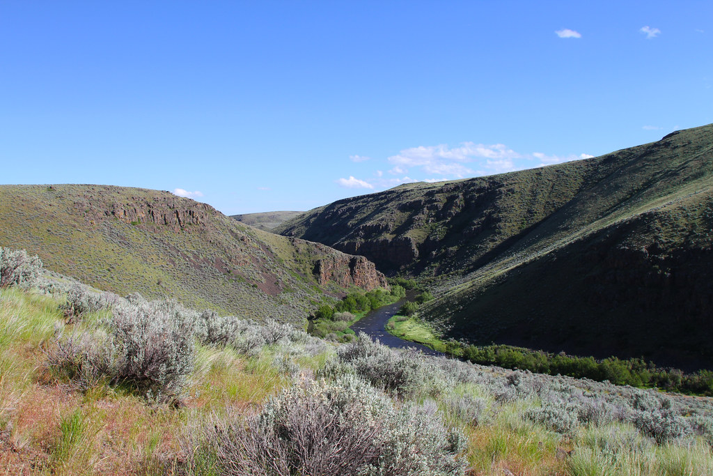 Powder Wild and Scenic River | The Powder River is located i… | Flickr