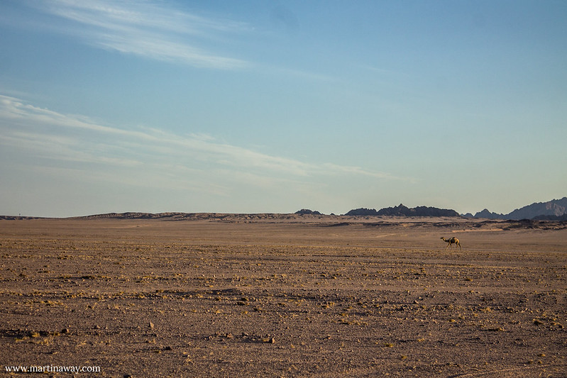 Deserto del Sinai a Nabq
