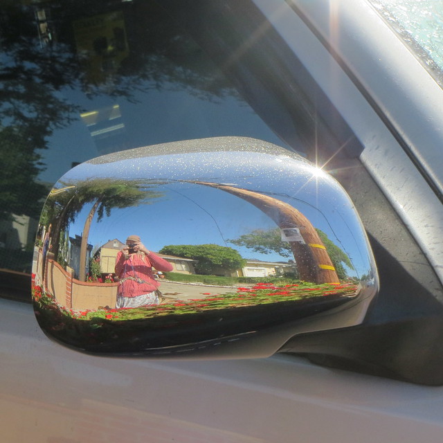selfie in car mirror