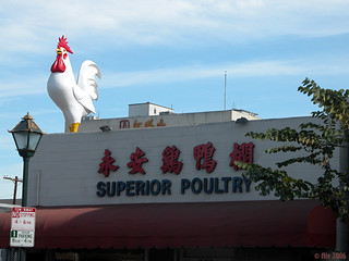superior poultry | by Ale*
