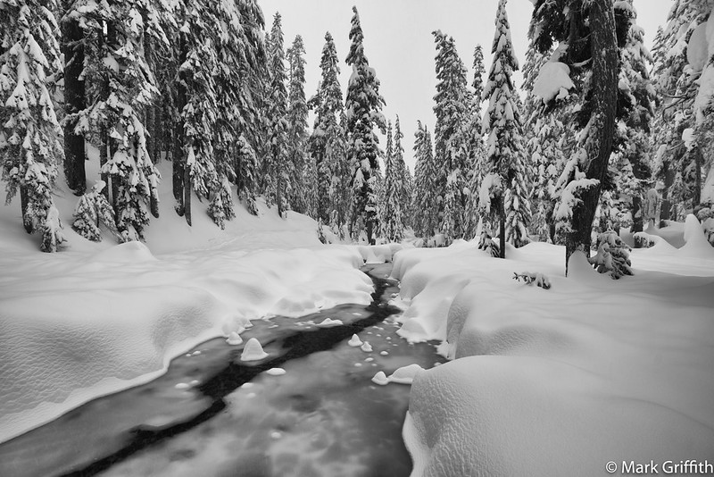 Winter Creek