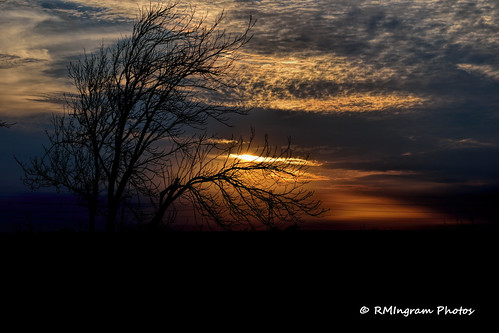 stormywintersunset oldtreebowstothesettingsun wintersunset sunset landscape traveltexas texassunsets nikonphotography