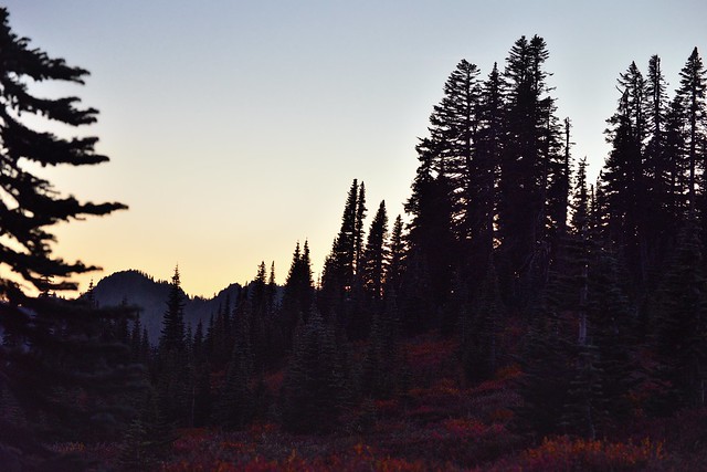 Early Evening Twilight in Mount Rainier National Park