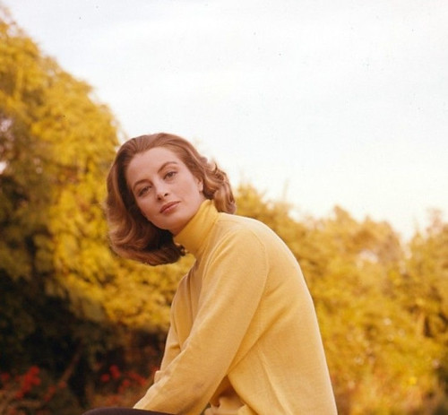 Capucine | Flickr