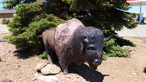 2017 northdakota belfieldnd belfield trappersinn trapperskettle restaurant lodging dining placestostay placestoeat americanbuffalo bison statue