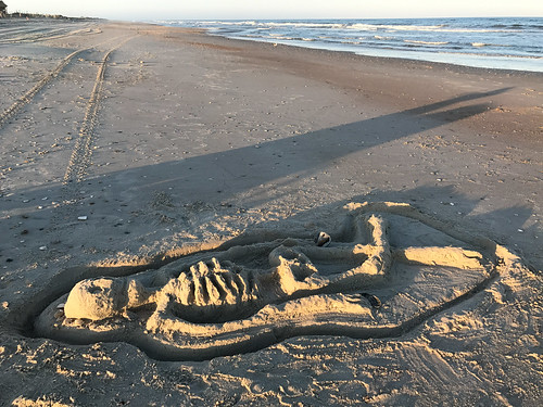 2017 northcorebanks capelookoutnationalseashore northcarolina cedarisland unitedstates us skeleton sand sculpture