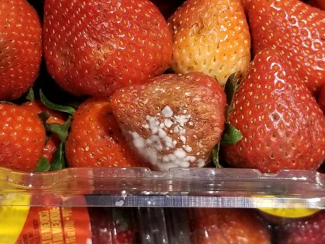 Strawberry: Postharvest rot of fruit