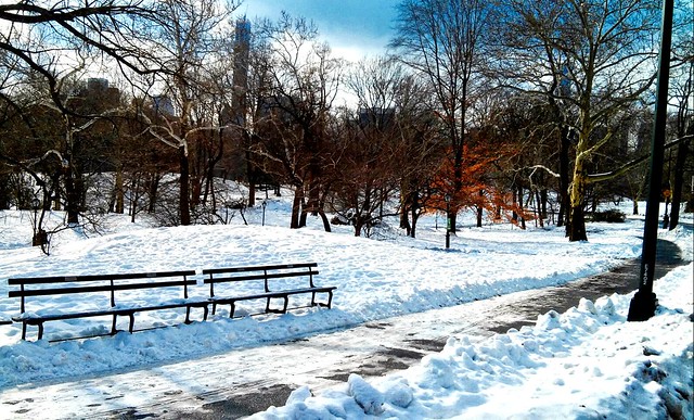 Winter. Central Park. New York, EUA.