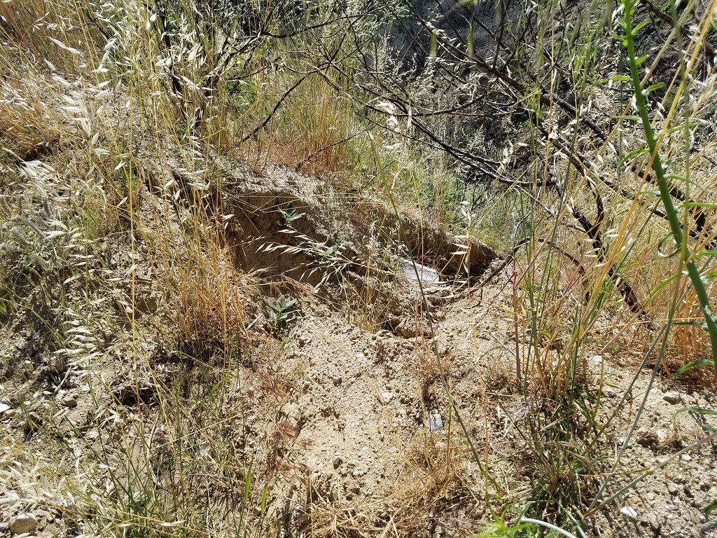 Allen Trail