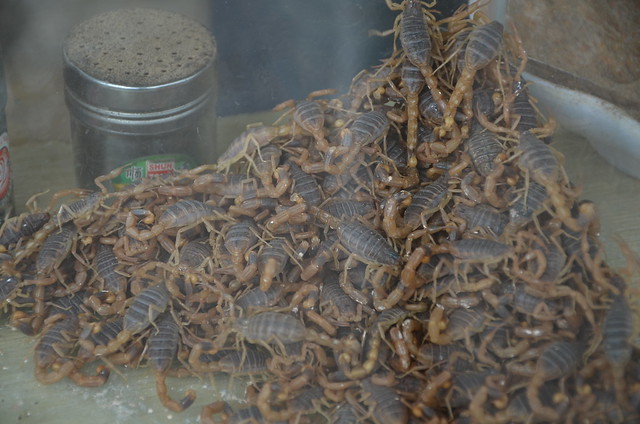 A tub full of scorpions for the grill- I simply freaked out!