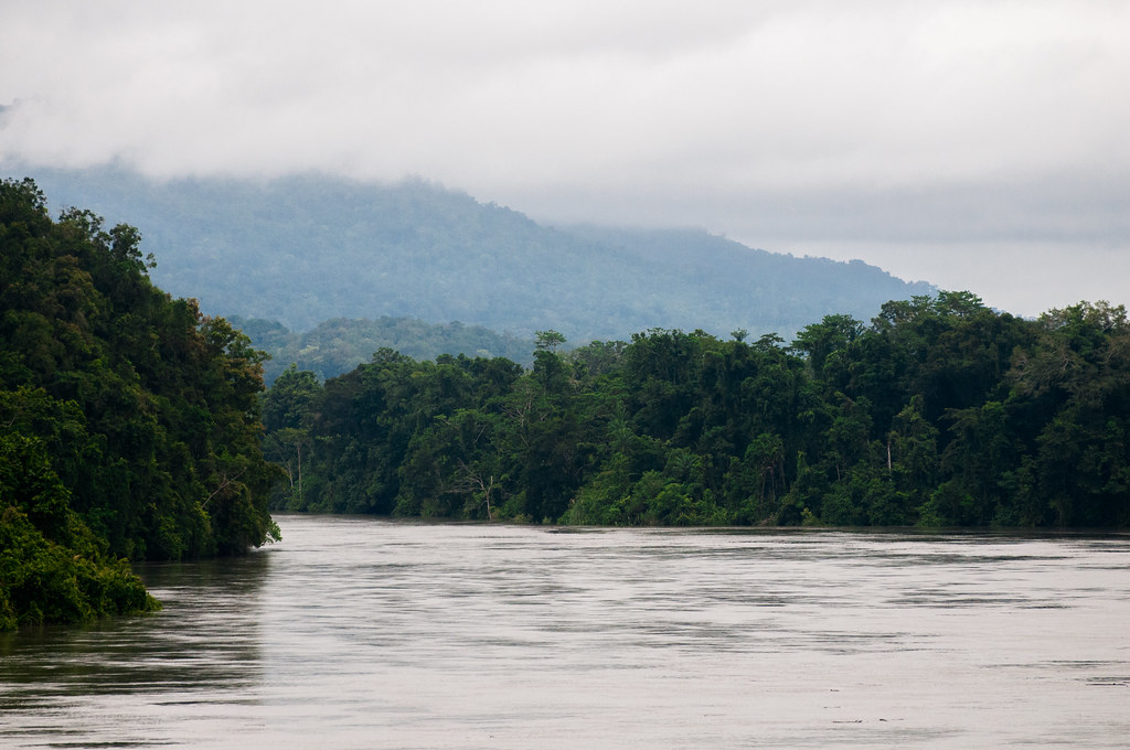 View of the Mamberamo river. Papua.