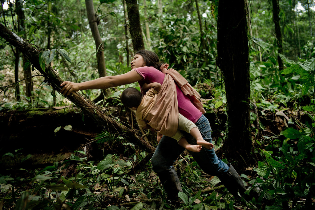 A Kichwa villager cuts down small trees using a machete, while her husband uses a chainsaw nearby. They are clearing...