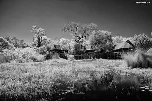 lodge marsh wetland water infrared blackwhite blackandwhite campokavango moremi moremigamereserve okavangodelta okavango delta botswana image:rating=5 image:id=204561