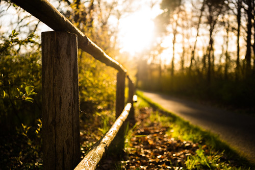 flickr fence friday za zeiss zaun wood path sony sunset