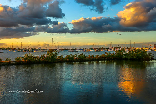 boats sailboatssailboats water riversouthfork stlucieriver nature mothernature sunset clouds cloudy weather reflection reflect shepardspark stuart florida usa