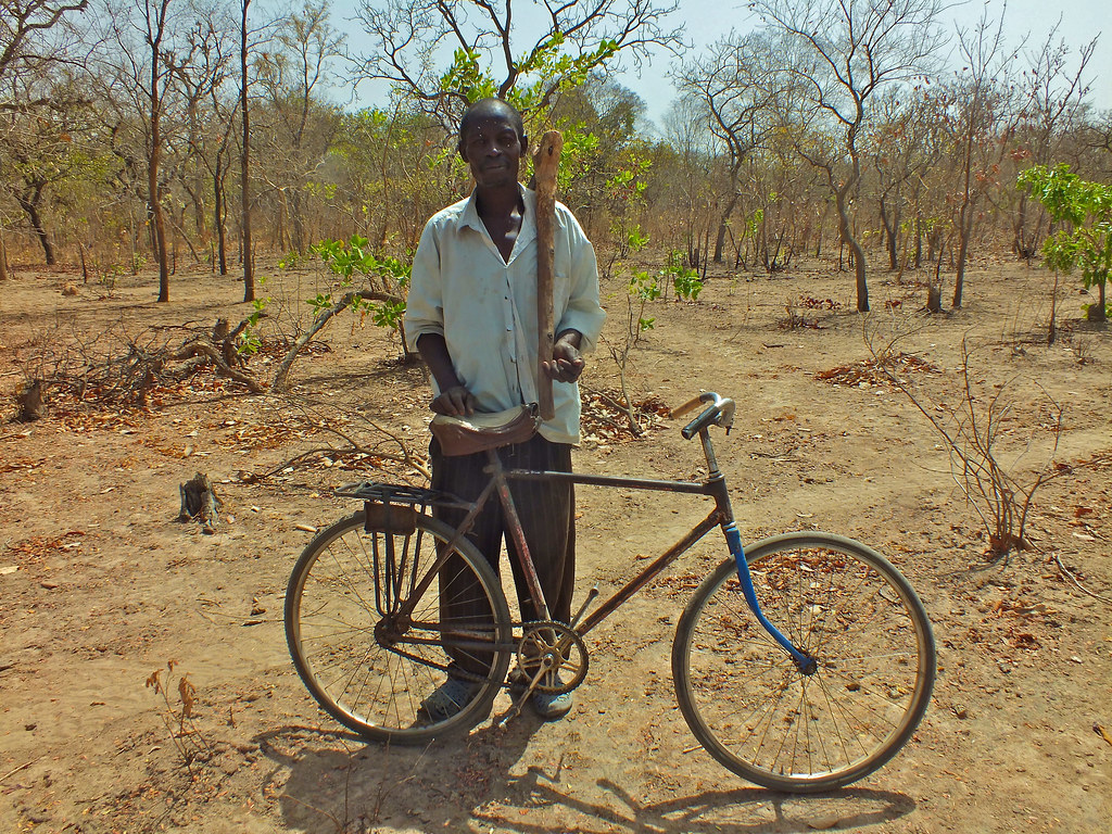 A portrait of a man. The dry forest and woodlands of Africa cover 54% of the continent and support some...