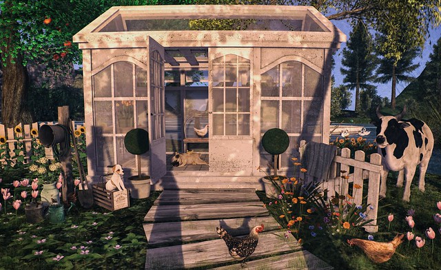 My lovely Greenhouse