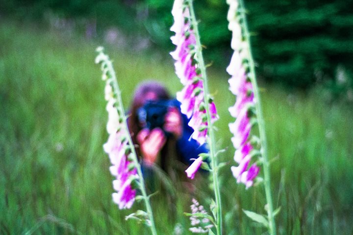 Having a fun time driving around the mountains with Marina Hansen taking photos of flowers.