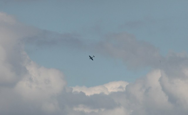 Spitfire over the Solent