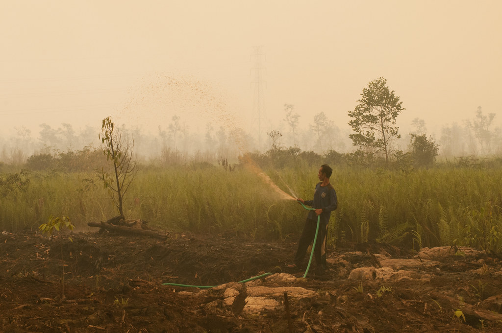 Local farmers water the land to avoid fires igniting. Palangka Raya, Central Kalimantan.