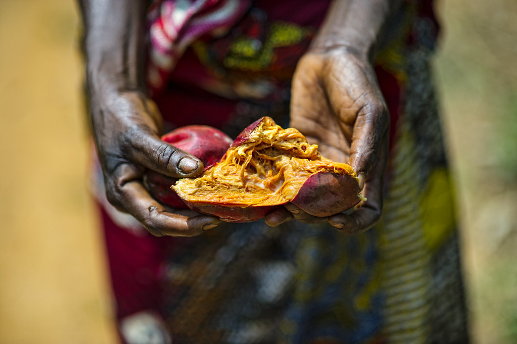 A female farmer with local fruit on the way to Tumba–Lediima Reserve, Democratic Republic of Congo.