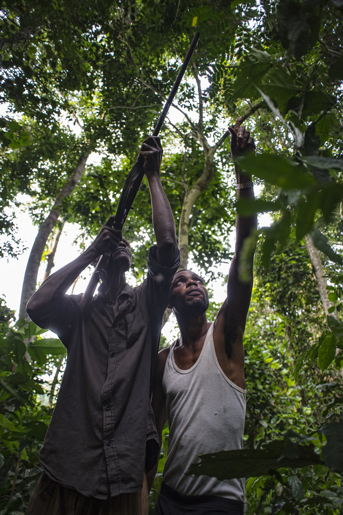 Zorro Ndeli and Tamanga Ekwayoli both hunters in the Tumba-Ledima Reserve, Democratic Republic of Congo.