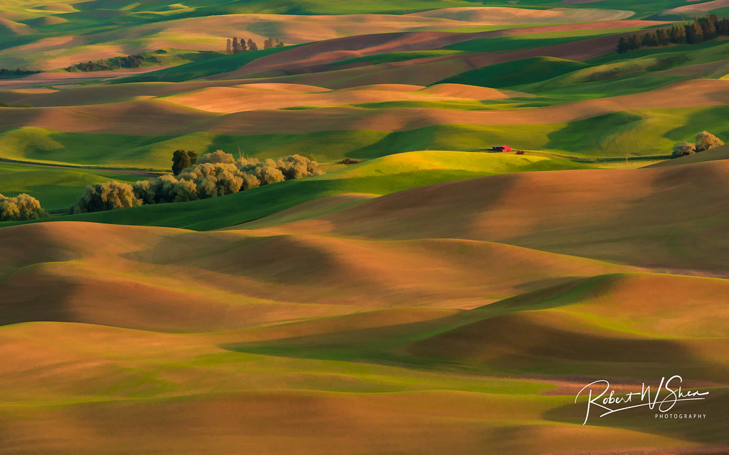 Palouse Watercolor | Image of the Palouse area of Eastern Wa… | Flickr