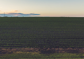 Flickr photo: New London Farm Sunset, Minnesota