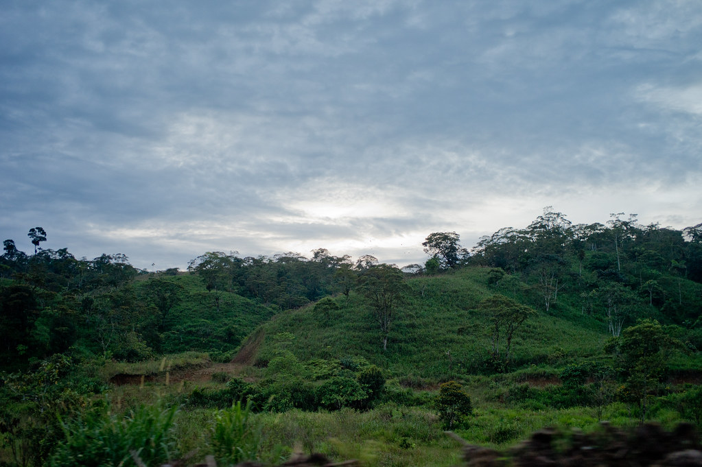 Deforested lands near Coca, Ecuador.