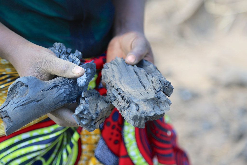 A smallholder in Nyimba district, Zambia, holds up a piece of charcoal.