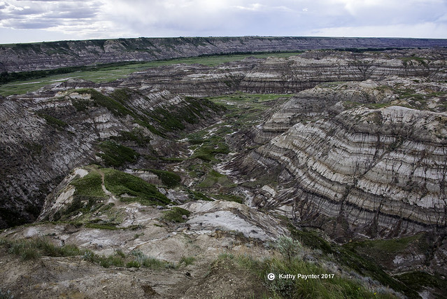 Drumheller Horse Thief Canyon K75_0879IN