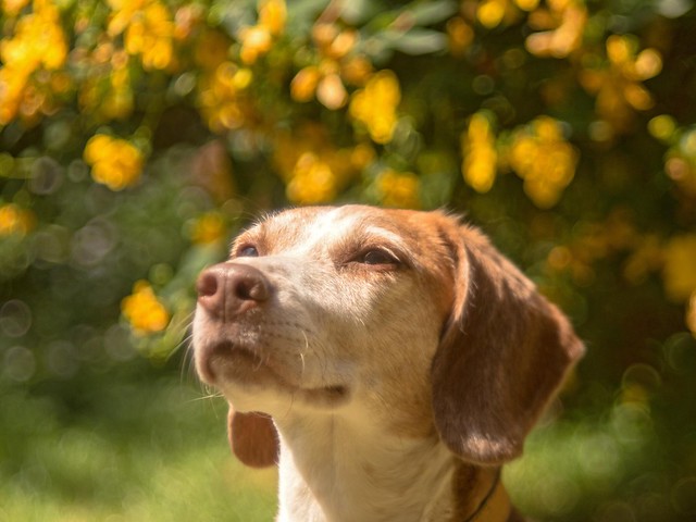Smelling the summer..