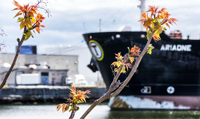 Flowers and Tanker