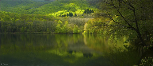 Reflejos by antoniocamero21, Montseny -Catalunya-pantano verde color foto sony reflejos agua hayas árboles paisaje miontseny barc