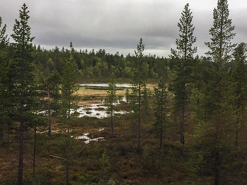 finland lapland landscape