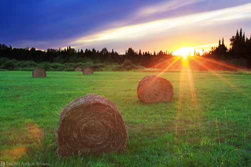 august mi michigan up upperpeninsula agriculture farm field hay landscape nature summer sunset