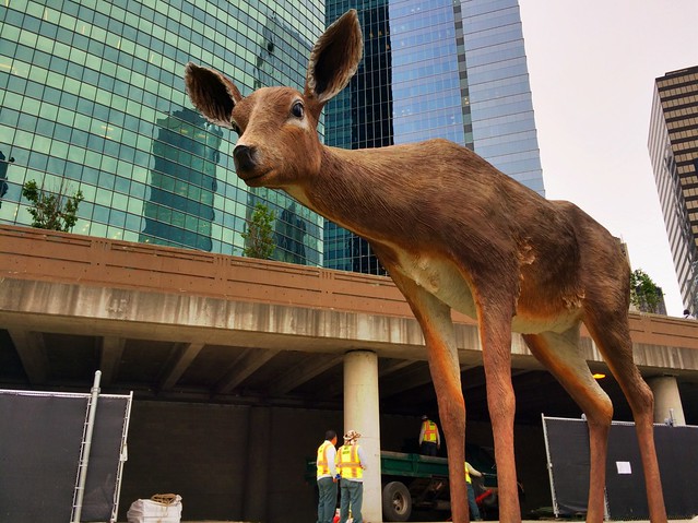 Giant deer invades Chicago Riverwalk!
