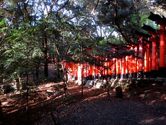 Fushimi Inari Taisha Shrine