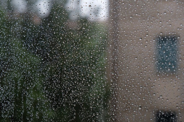 Piove sulle nostre finestre che indarno pulimmo per ore.