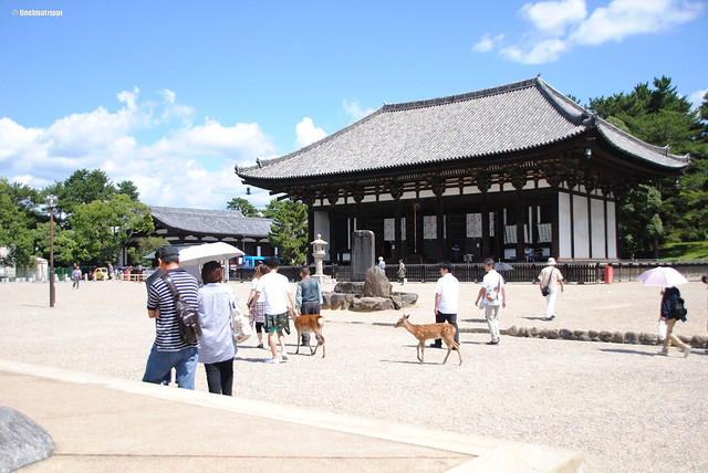Ihmisiä ja kauriita temppelialueella Narassa