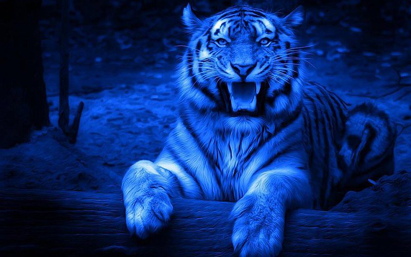 Gray and blue tiger with lamp digital wallpaper concept art tiger Jade  Mere animals HD wallpaper  Wallpaper Flare