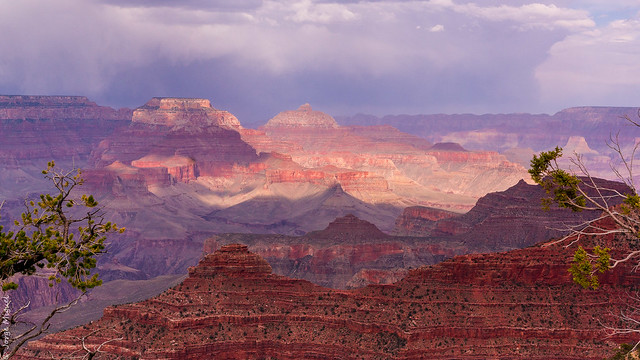 Grand Canyon, South RIM, Arizona - USA - 0622