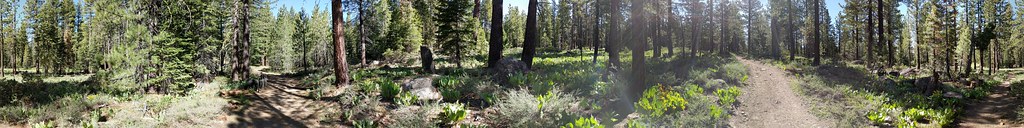Lakeview Ridge Trail