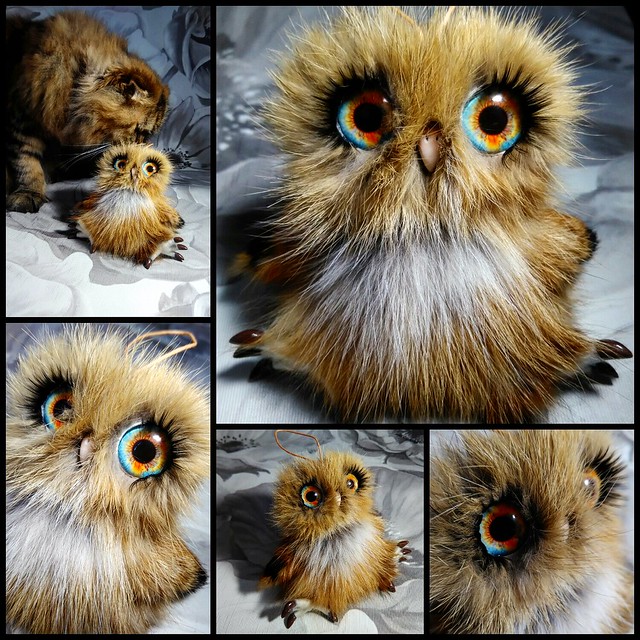 Owl baby