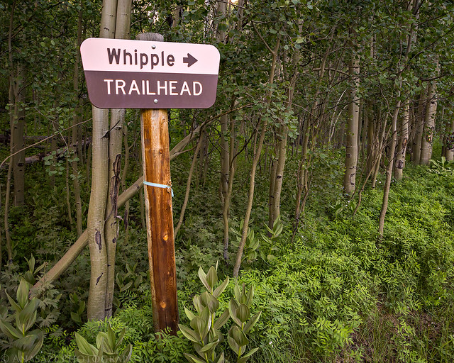 Whipple Trailhead